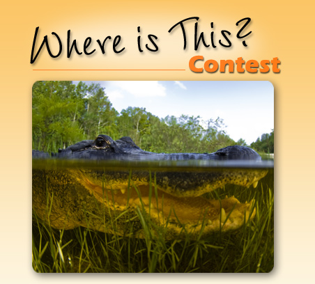 Win Free Dinner in Orlando or Kissimmee - Enter Where-Is-This Contest Now!