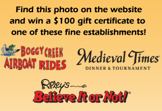 Win an $100 restaurant gift certificate to a Southwest Florida restaurant